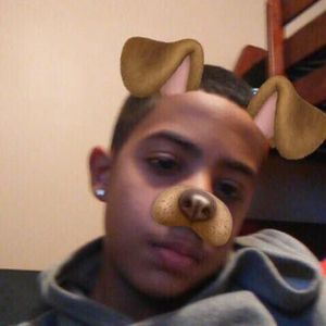 Meet your Posher, Noel